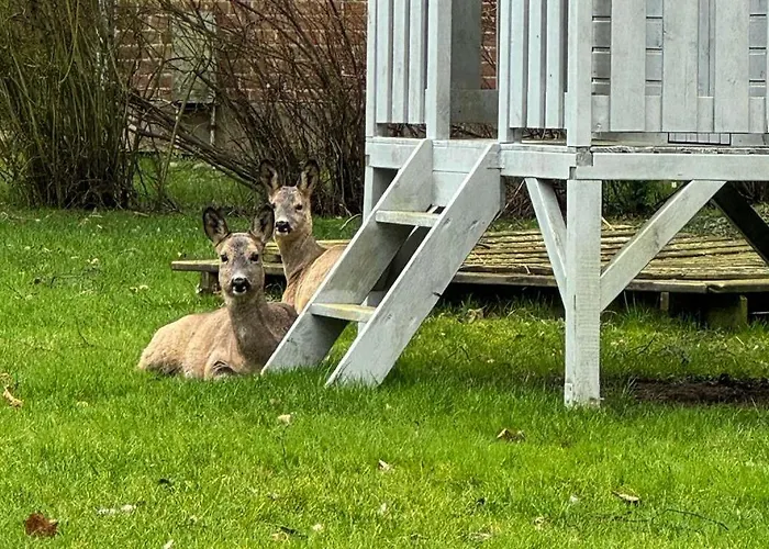 Voss 3 Apartamento *